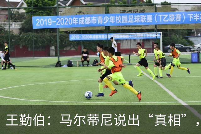 王勤伯：马尔蒂尼说出“真相”，离开是适合他的结果